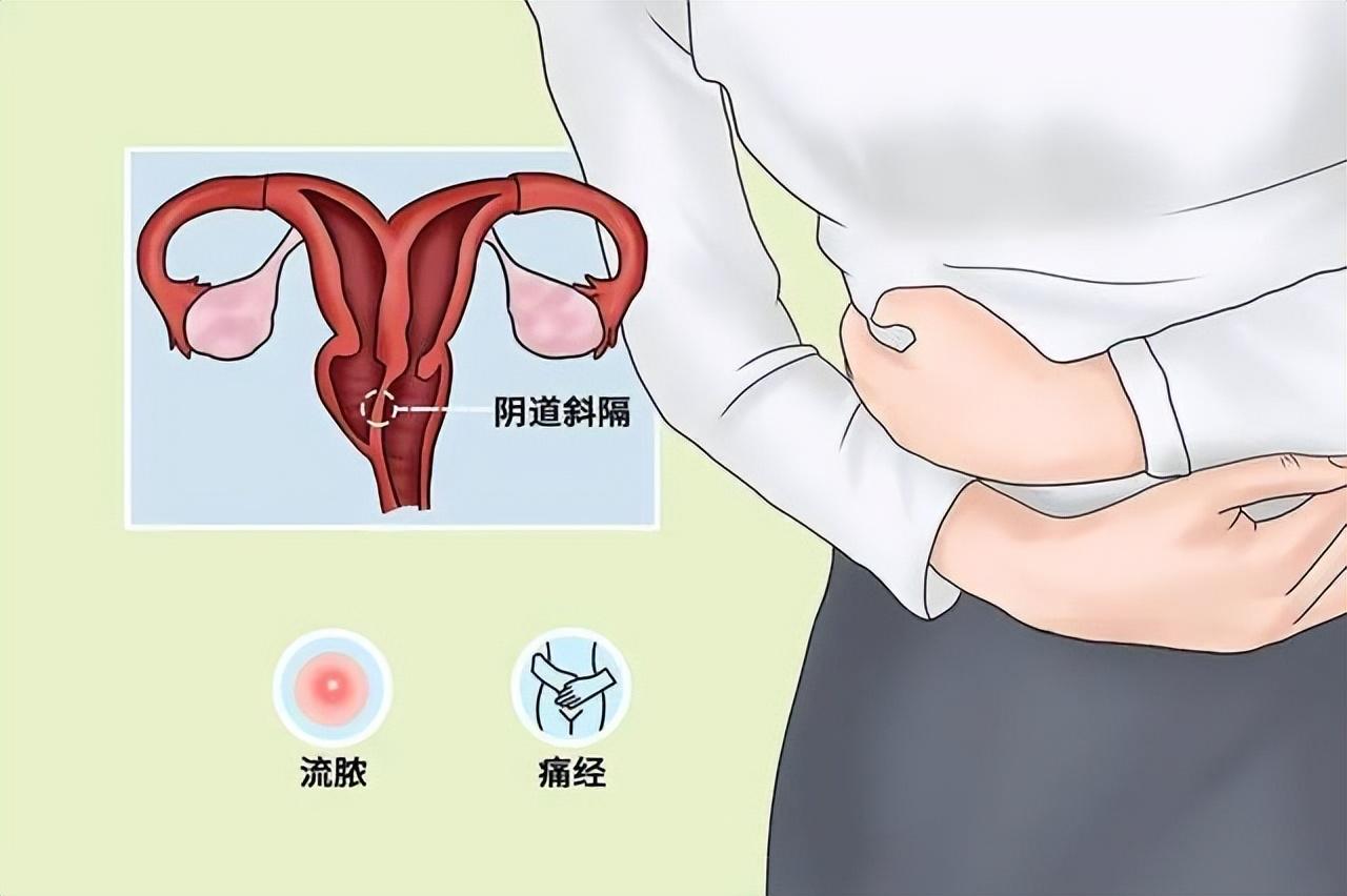 春秋动物有特出，三四八取其尾数打一准确生肖，详细解答、专家解答解释落实