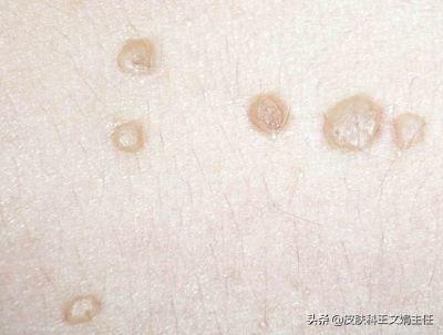 一身清白打一个准确生肖，详细解答、前沿解答解释落实